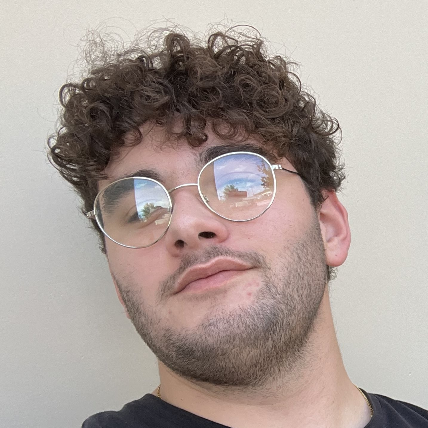 Z Blostien profile
